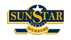 sunstar logo