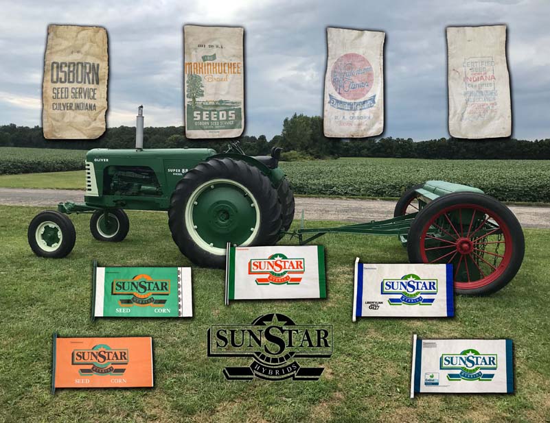 sunstar product graphic image